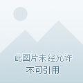 异界的鬼畜触手 异界的鬼畜触手